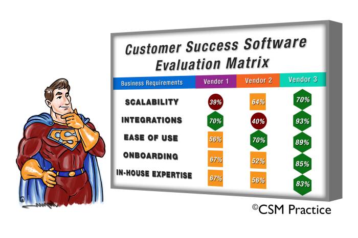 How to Implement Customer Success Software