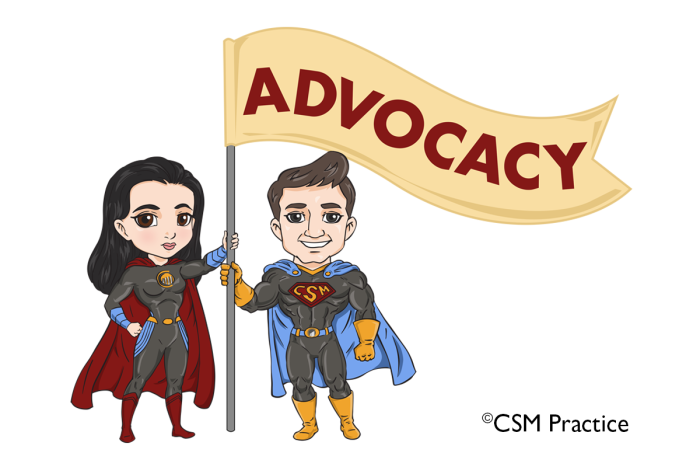 CSM hero and heroine advocacy flag