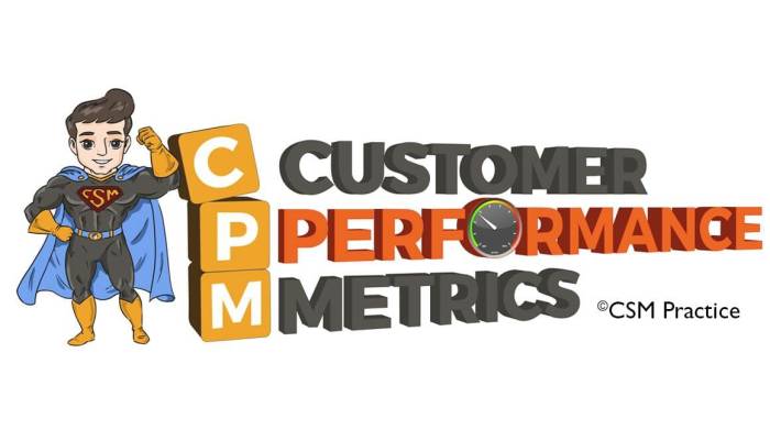 CSM Team Performance Metrics That Matter