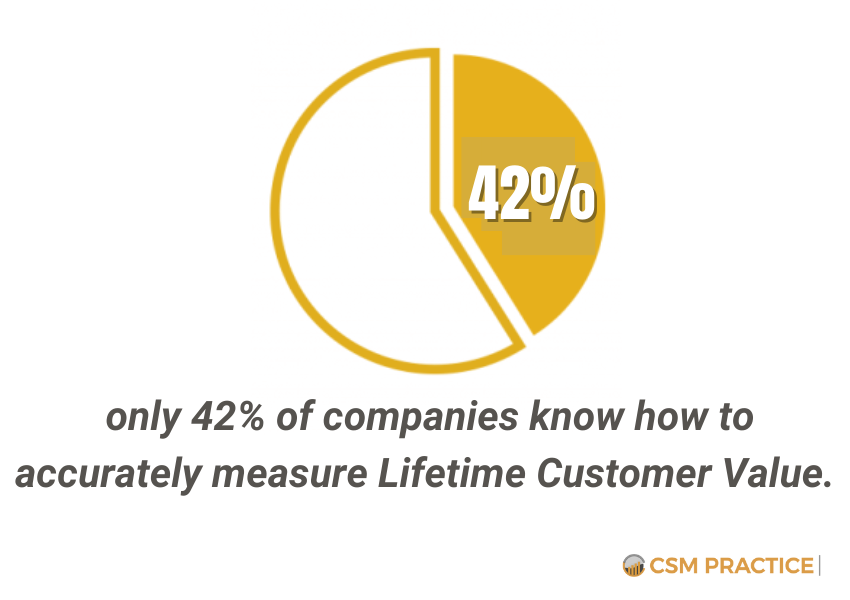 companies who measure lifetime customer value